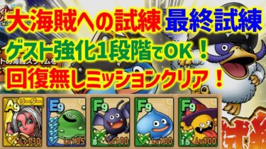 【ドラクエタクト】大海賊への試練 最終試練 ゲスト強化1段階でOK！回復無しミッションクリア！ガチャキャラ無し！