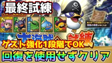 【DQタクト】大海賊への試練 最終試練をゲスト強化1段階で回復を使用せずクリア出来る編成紹介【#ドラクエタクト/#ドラゴンクエストタクト/#DQTact】