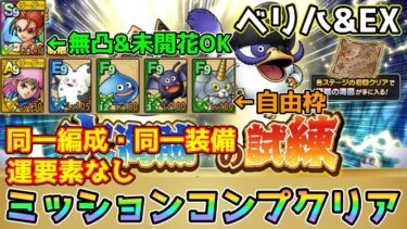 【DQタクト】大海賊への試練 ベリーハード&EXを運要素なしミッションコンプクリア出来る編成紹介【#ドラクエタクト/#ドラゴンクエストタクト/#DQTact】