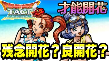 【ドラクエタクト】当たり開花？ハズレ開花？『真夏の女神ゼシカ＆浜辺の天使セラフィ』開花考察！！！【DQT】