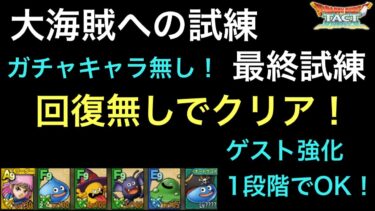 【ドラクエタクト】大海賊への試練 最終試練 回復無しでクリア！【ゲーム実況】