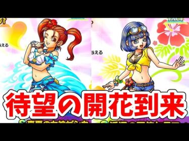 【期待】水着ゼシカ＆浜セラが遂に開花！！！