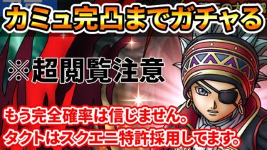 【ドラクエタクト】海賊カミュが優先的に出るテーブルっぽいので完凸までガチャります【完全確率党は解散しました】