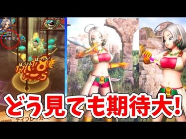 【次回予告】DQXより、「リィン」が『ドラゴンクエストタクト』に登場！