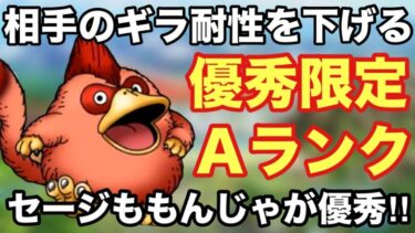 【ドラクエタクト】こいギラ耐性ダウン持ちの優秀Aランク！セージももんじゃって知ってる⁉︎