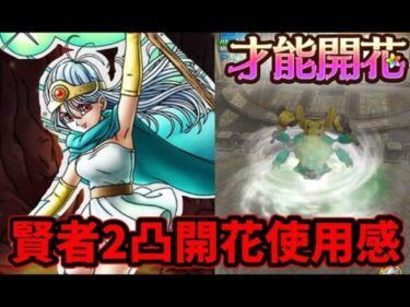 【評価】２凸賢者は開花するべきか忖度なしで評価します